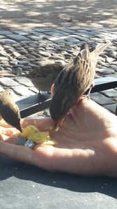 Aperitivo con amigos inesperados.